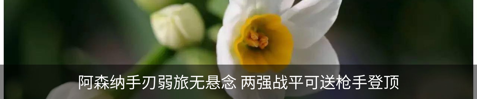 内页banner